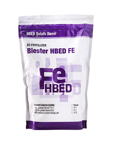 biester-hbed-fe
